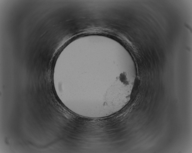 X0000096951216200802291048