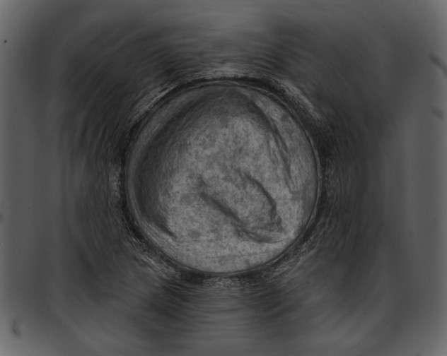 X0000096951217200802291048