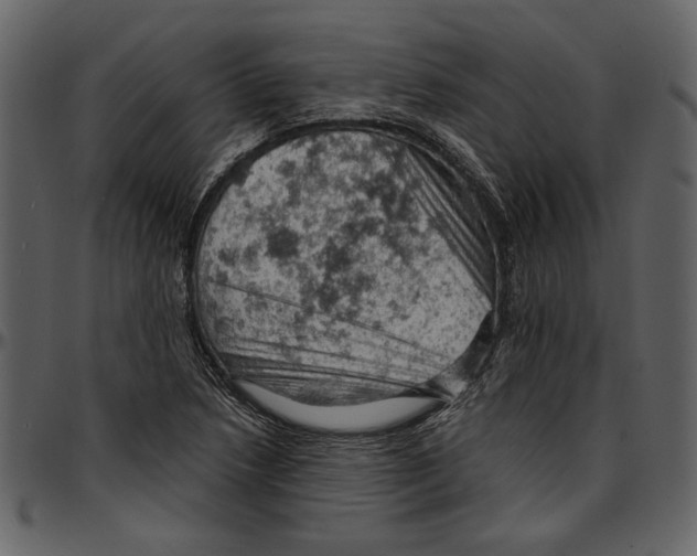 X0000096951218200802291048