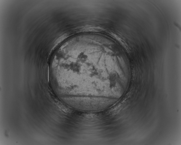 X0000096951219200802291048