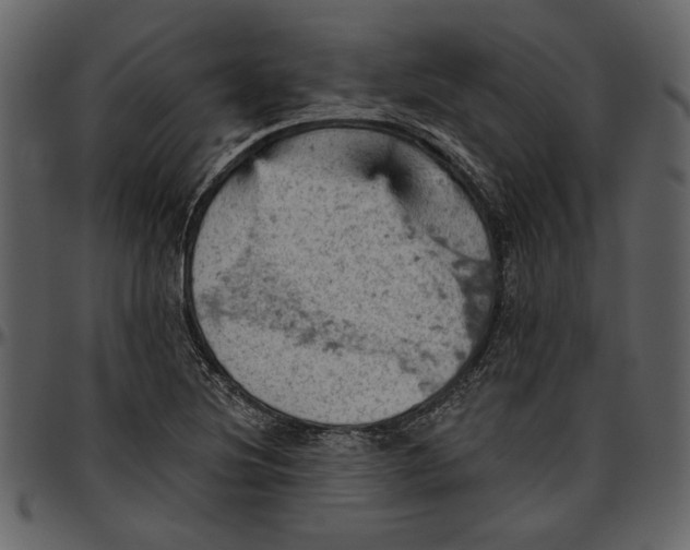 X0000096951220200802291048