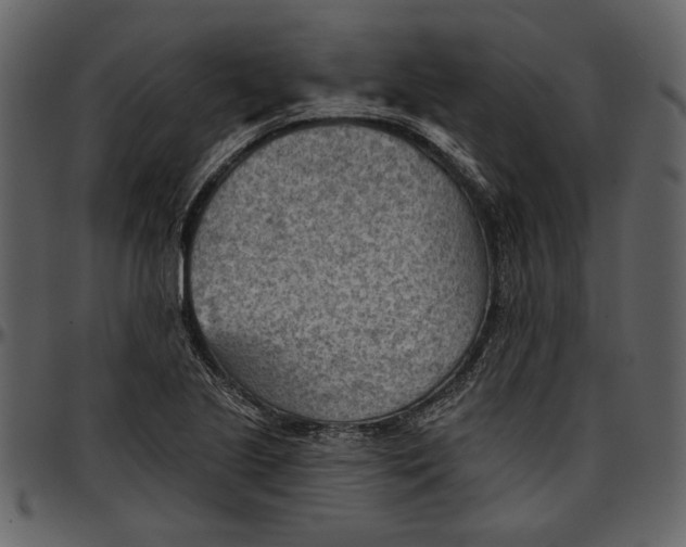 X0000096951221200802291048