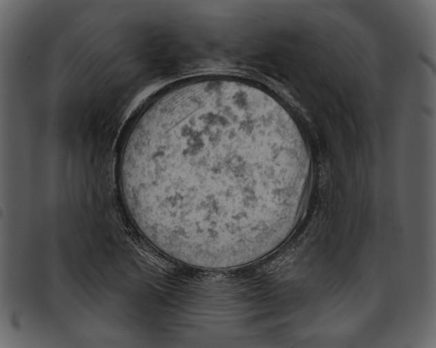 X0000096951222200802291048