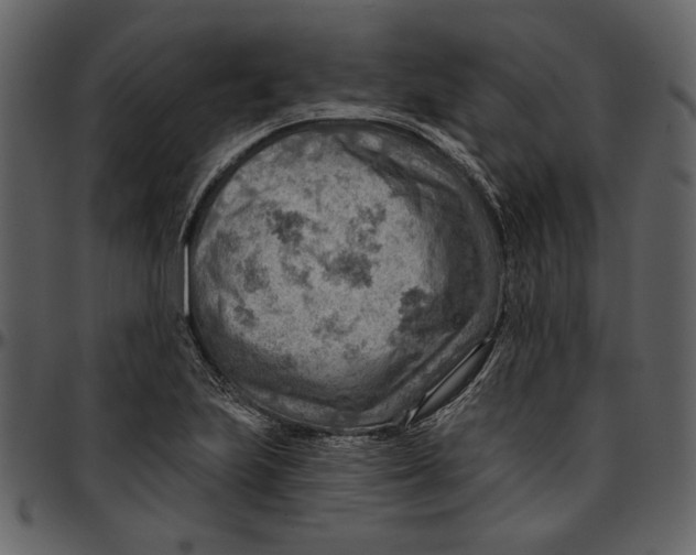 X0000096951223200802291048