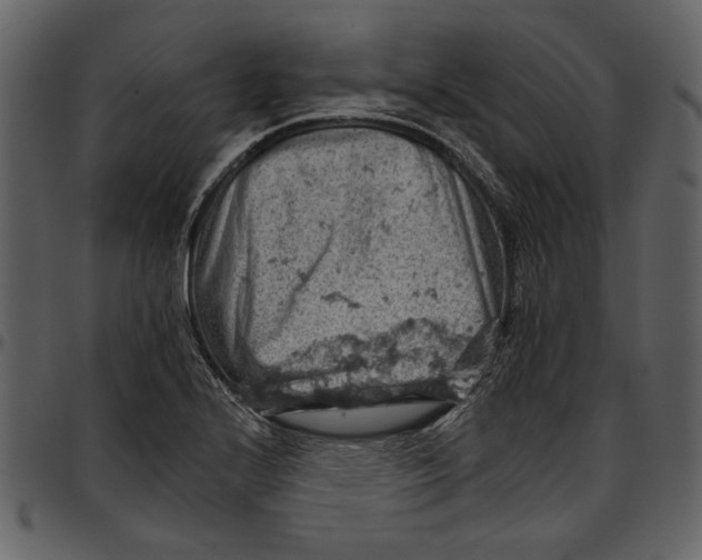 X0000096951224200802291048