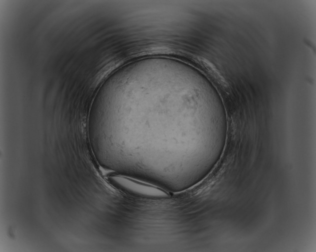 X0000096951225200802291048