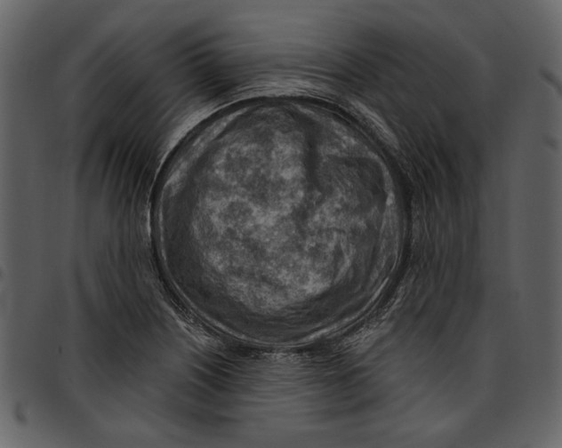 X0000096951226200802291048