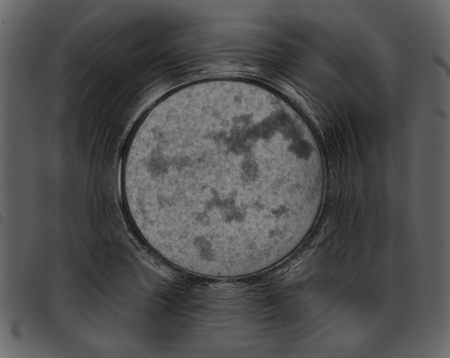 X0000096951227200802291048