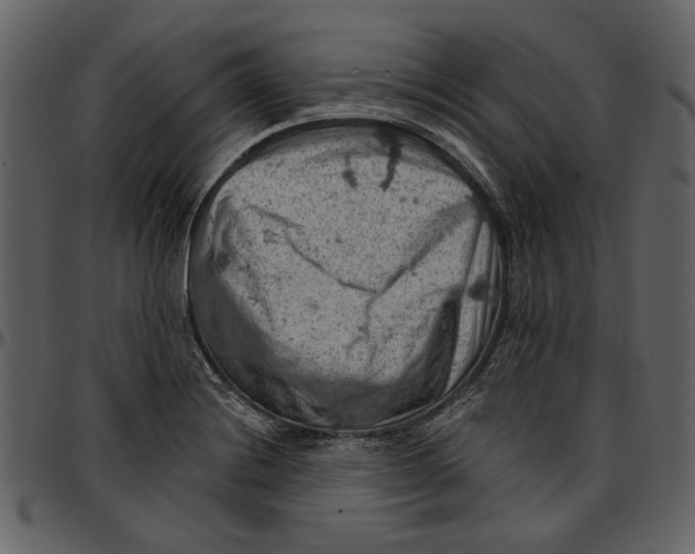 X0000096951228200802291048