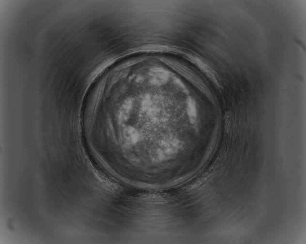 X0000096951229200802291048