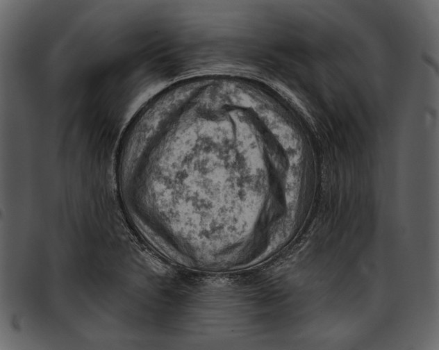 X0000096951230200802291048