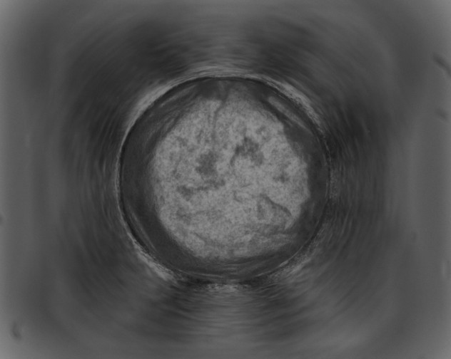 X0000096951231200802291048