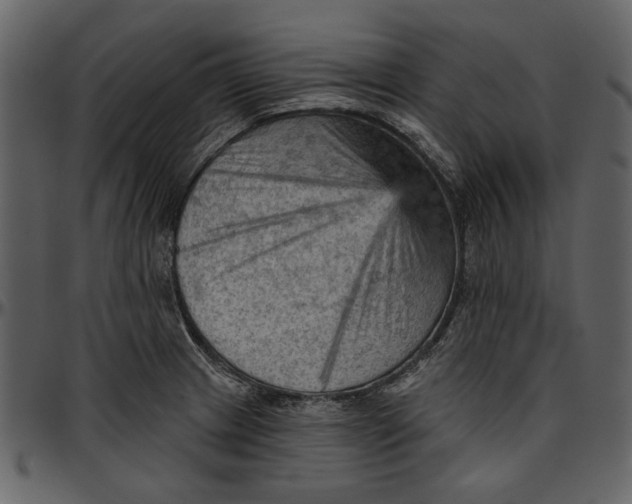 X0000096951233200802291048