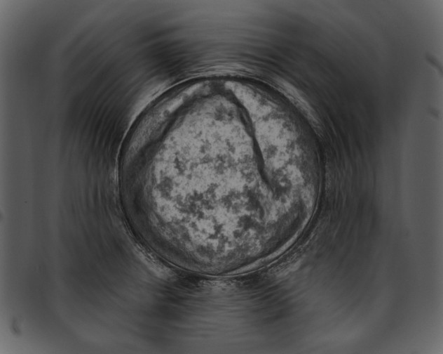 X0000096951234200802291048