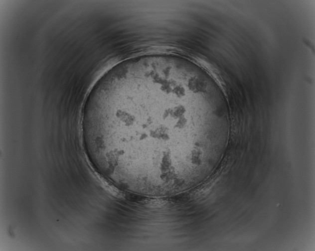 X0000096951235200802291048