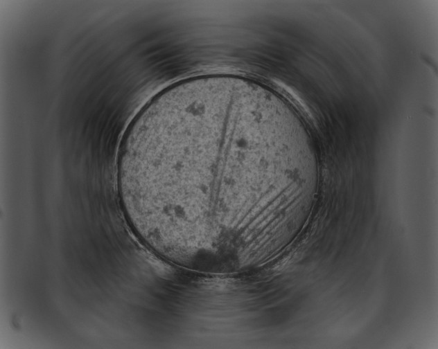 X0000096951236200802291048