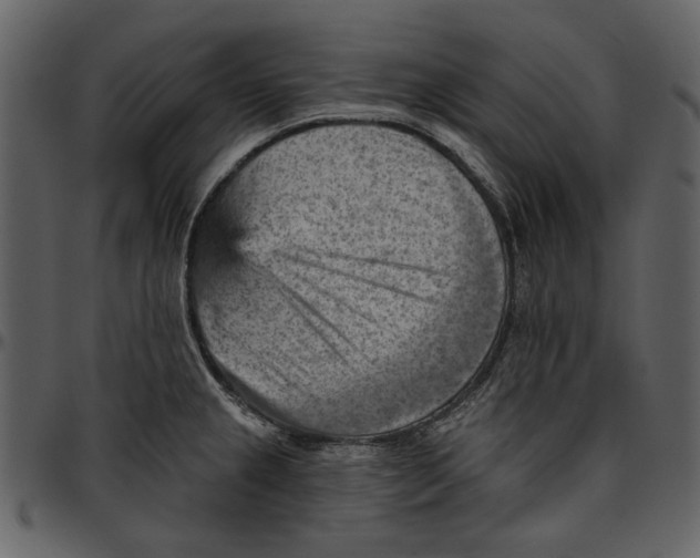 X0000096951237200802291048