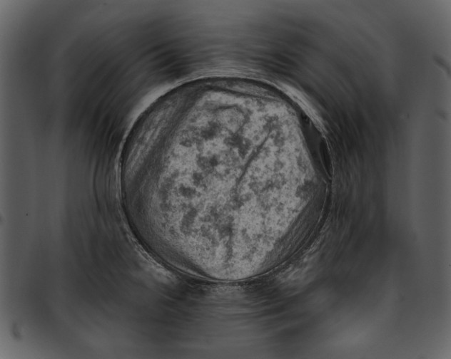 X0000096951238200802291048