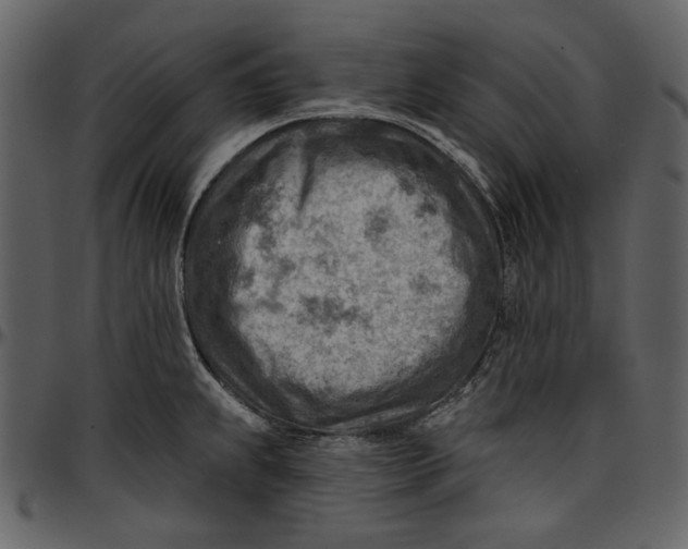 X0000096951239200802291048