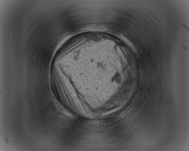 X0000096951240200802291048