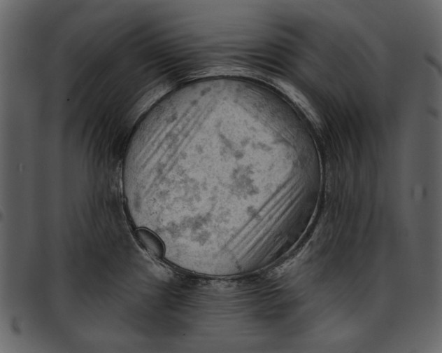 X0000096951241200802291048