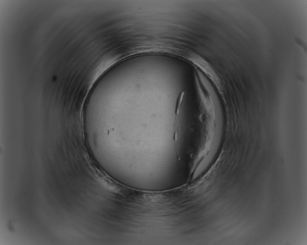 X0000096951242200802291048