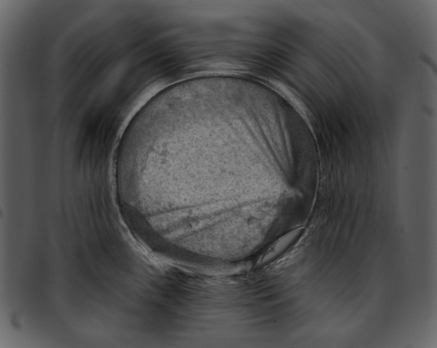 X0000096951243200802291048