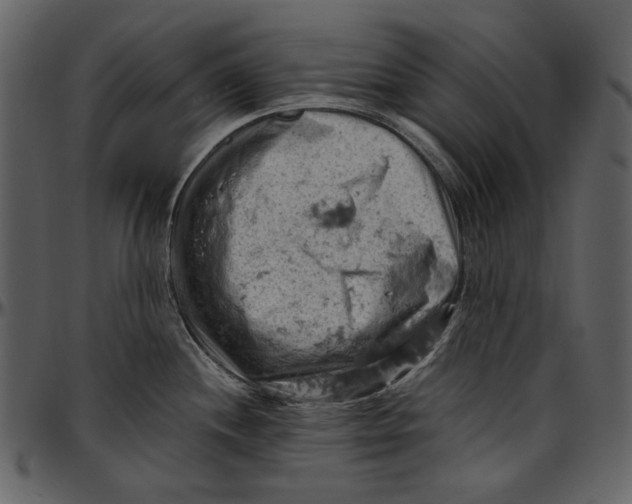 X0000096951244200802291048