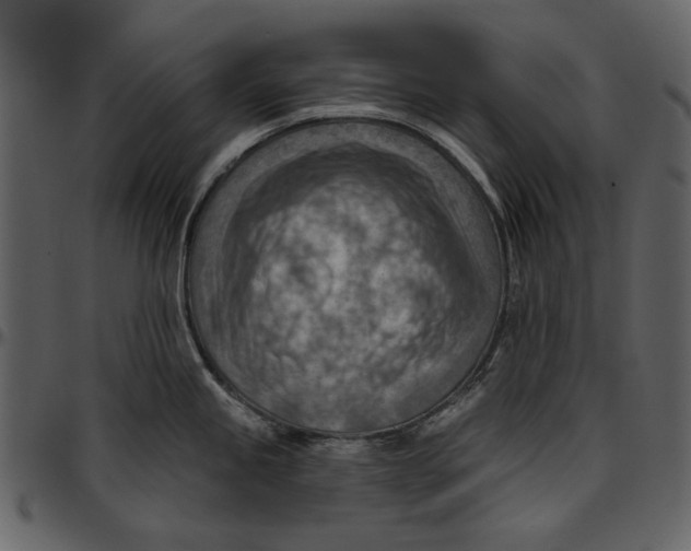 X0000096951245200802291048