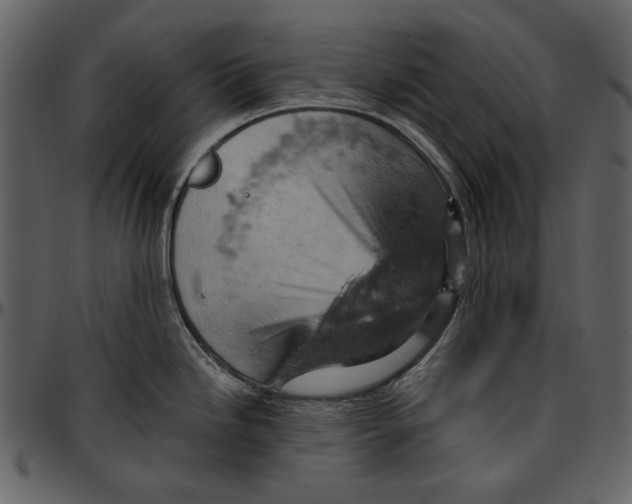 X0000096951246200802291048