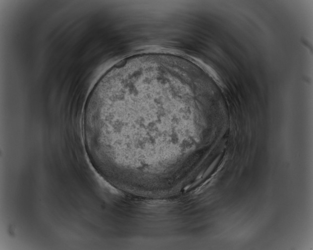 X0000096951247200802291049