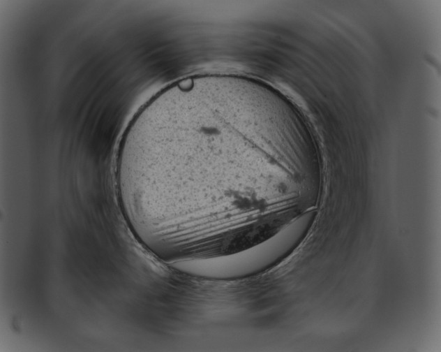 X0000096951248200802291049