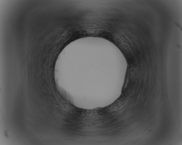 X0000096951249200802291048