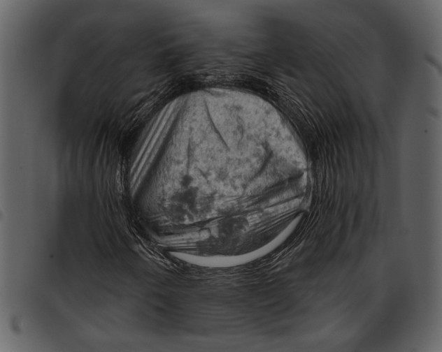 X0000096951250200802291048