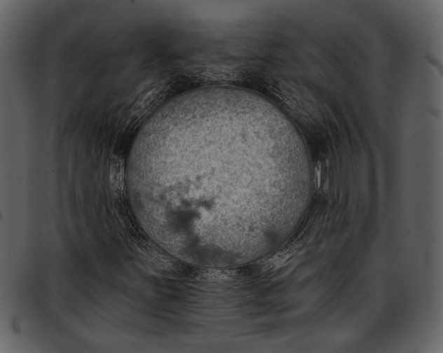 X0000096951251200802291048