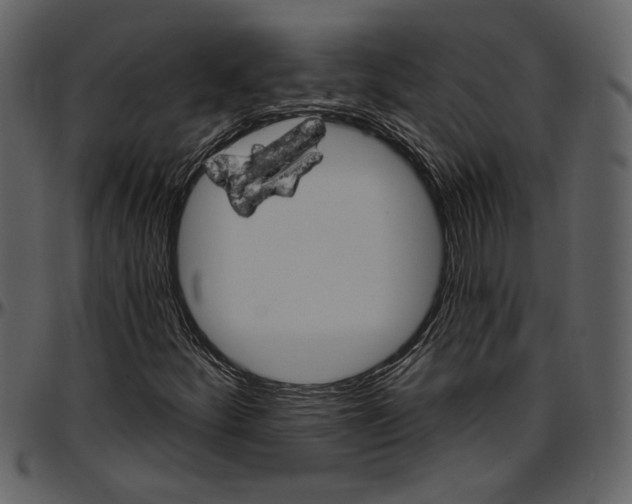 X0000096951252200802291048