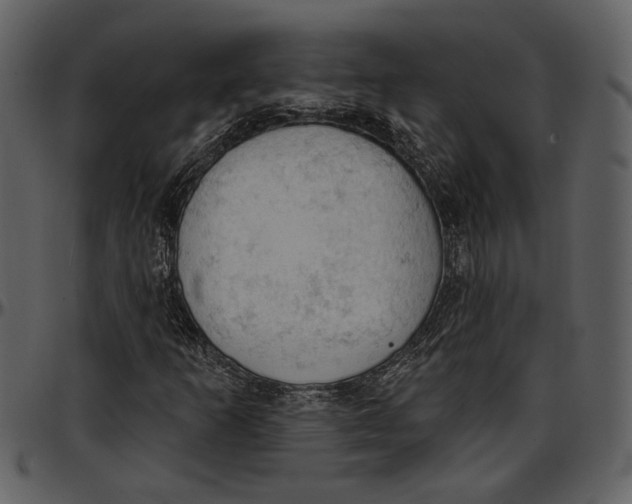 X0000096951253200802291048