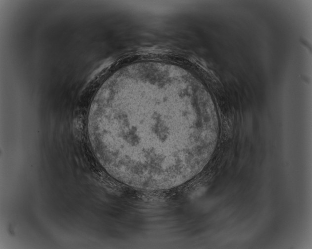 X0000096951254200802291048