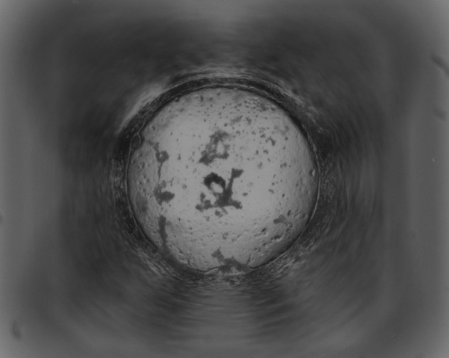 X0000096951255200802291048