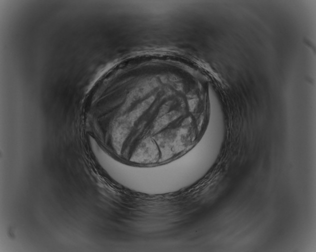 X0000096951256200802291048