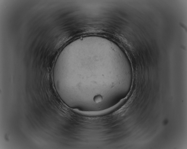 X0000096951257200802291048