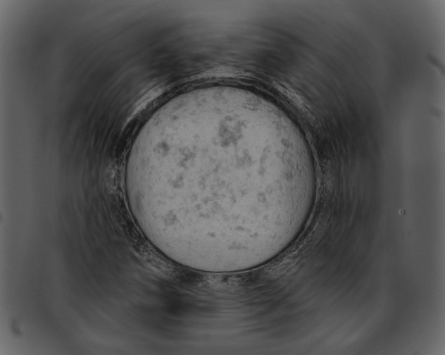 X0000096951258200802291048