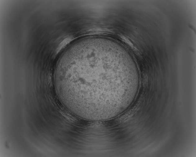 X0000096951259200802291048