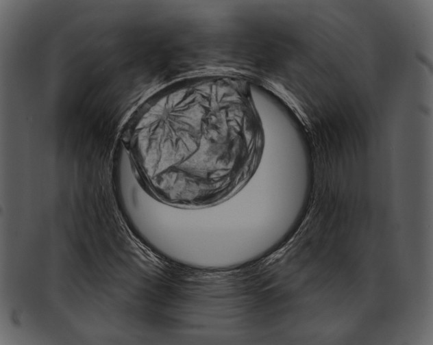 X0000096951260200802291048