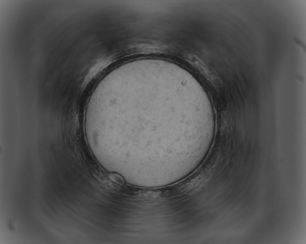 X0000096951261200802291048