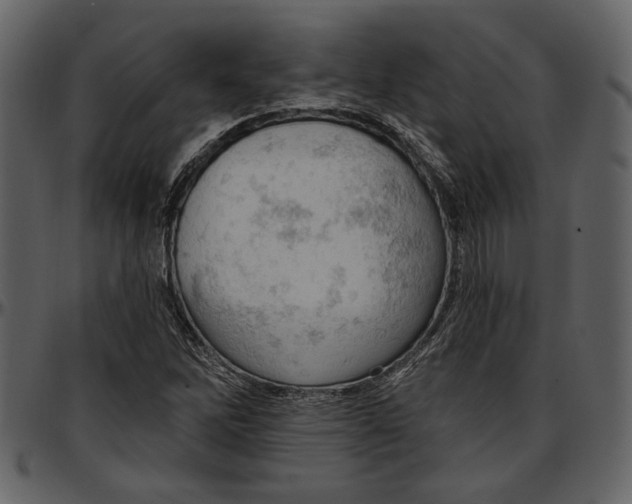 X0000096951262200802291048