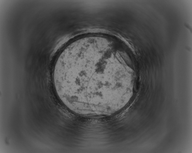 X0000096951263200802291048