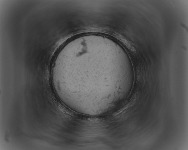 X0000096951264200802291048