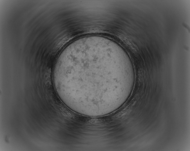 X0000096951265200802291048