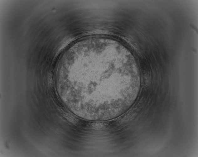 X0000096951266200802291048